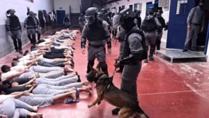 Bukan Hanya Disiksa, Aparat Israel juga Perk0sa Tahanan Palestina Pakai Anjing