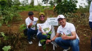 PLN UID S2JB Tanam 3.000 Pohon di Rejang Lebong, Upaya Perkuat Ekologi dan Harapan Ekonomi Warga