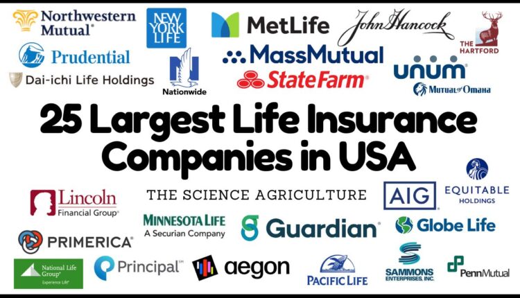 Insurance Company Is Usa