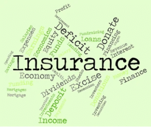 Insurance Meaning Economics