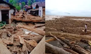 Tumpang Tindih Korupsi, Kerusakan Hutan dan Bencana di Sumatera