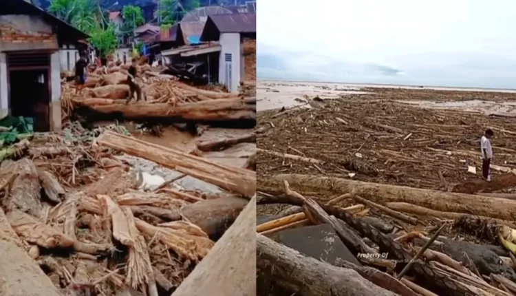 Tumpang Tindih Korupsi, Kerusakan Hutan dan Bencana di Sumatera