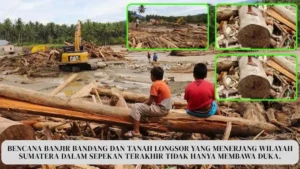 Heboh Kayu Gelondongan, Kejagung RI Siap Usut Dugaan Pembalakan Liar di Balik Bencana Alam Sumatera