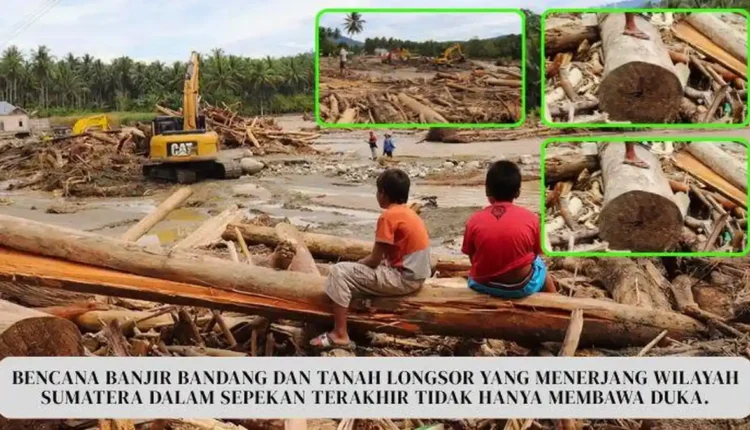 Heboh Kayu Gelondongan, Kejagung RI Siap Usut Dugaan Pembalakan Liar di Balik Bencana Alam Sumatera