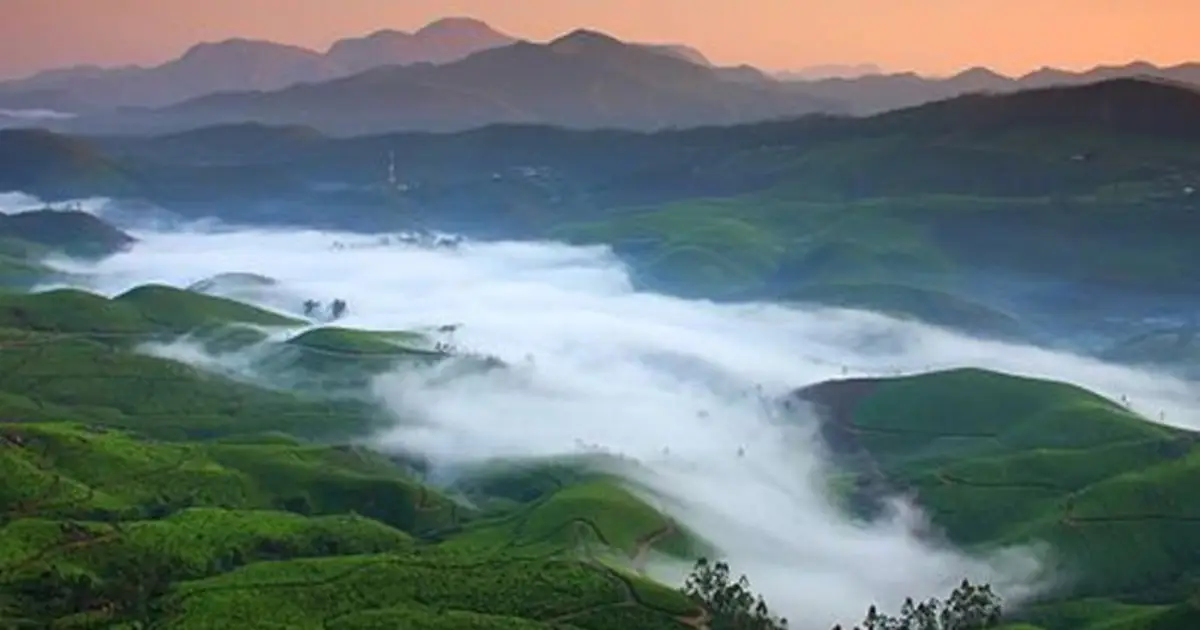 Tourist Places In Kerala Cold