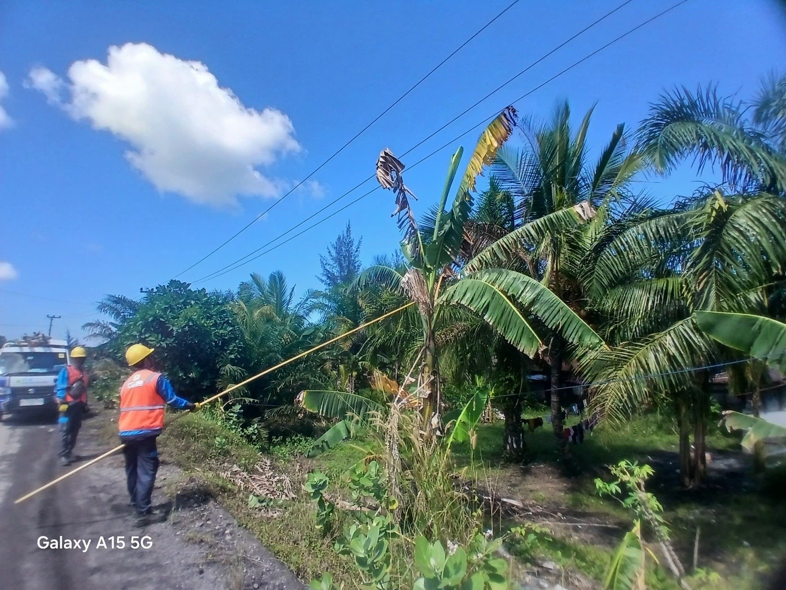 Hadapi Cuaca Ekstrem, PLN UP3 Bengkulu Perkuat Keandalan Jaringan Listrik melalui Pemeliharaan Vegetasi