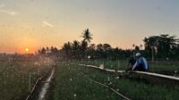 Tarif Listrik Triwulan III 2026 Tetap, PLN Siap Jalankan Kebijakan Pemerintah dan Jaga Kualitas Layanan ke Masyarakat Tarif Listrik Triwulan III 2026 Tetap, PLN Siap Jalankan Kebijakan Pemerintah dan Jaga Kualitas Layanan ke Masyarakat