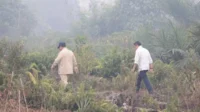 Gerindra: Kasihan Presiden Prabowo Diperlakukan Tidak Adil karena Bakom, Kerja Bagus tapi Dianggap Gagal